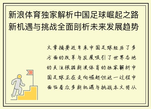 新浪体育独家解析中国足球崛起之路新机遇与挑战全面剖析未来发展趋势